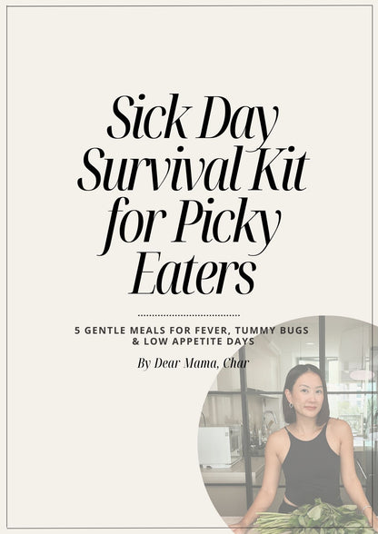 Sick Day Survival Kit for Picky Eaters - 5 Gentle Meals for Sick Kids & Low Appetite Days